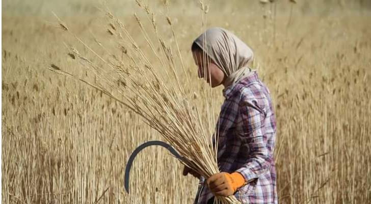 مستشار زراعي: الأردن يعاني من مشكلات في أمنه الغذائي - فيديو