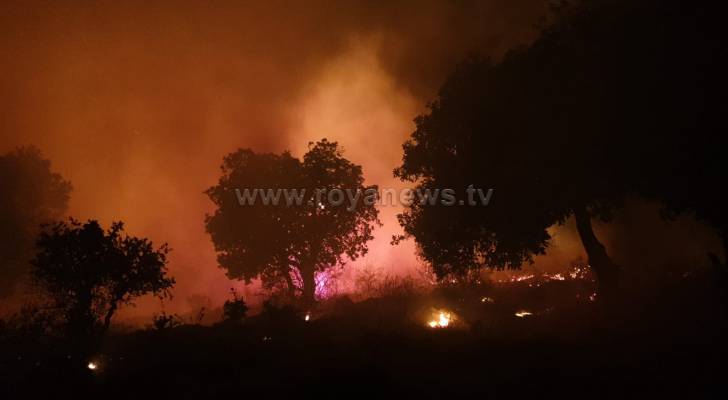 "حماية الطبيعة": مؤشرات على أن حريق محمية اليرموك "مفتعل" - فيديو
