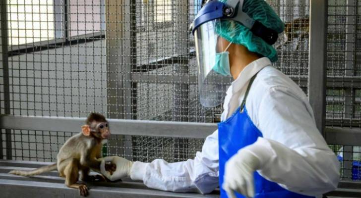 بسبب "جدري القردة".. توجه حكومي لوقف استيراد بعض الحيوانات إلى الأردن