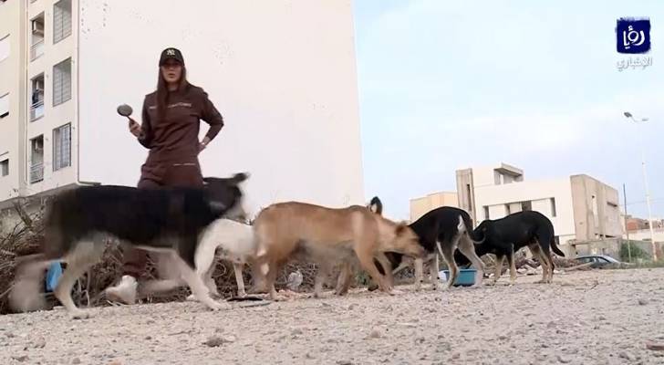 شابة تونسية تبادر بإطعام الحيوانات السائبة ومعالجتها - فيديو