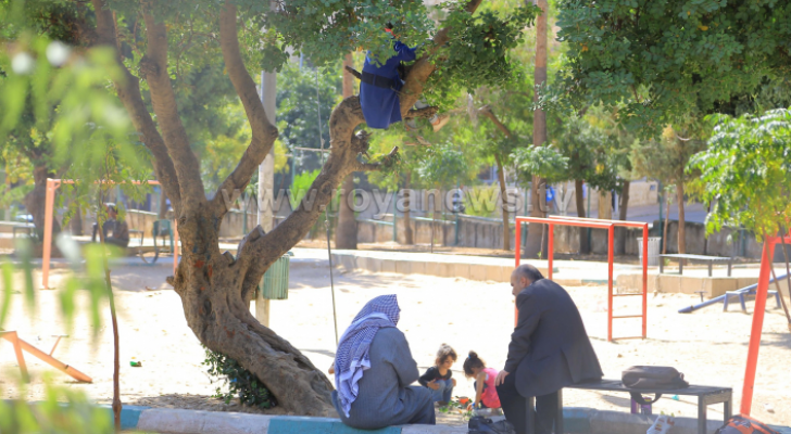 حديقة