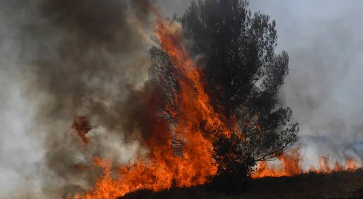 حرائق الغابات تدمر ١٧ ألف هكتار في فرنسا