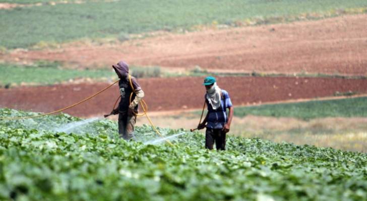 مشكلات المزارعين في وادي الأردن على طاولة النواب