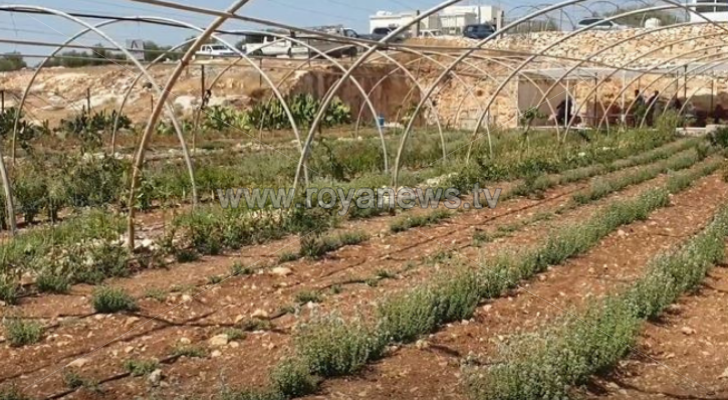 صورة توضيحية لمدرسة حقلية