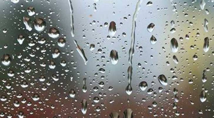 الطريفي عن قلة الأمطار في "المربعانية": فصل الشتاء لم ينتهِ - فيديو