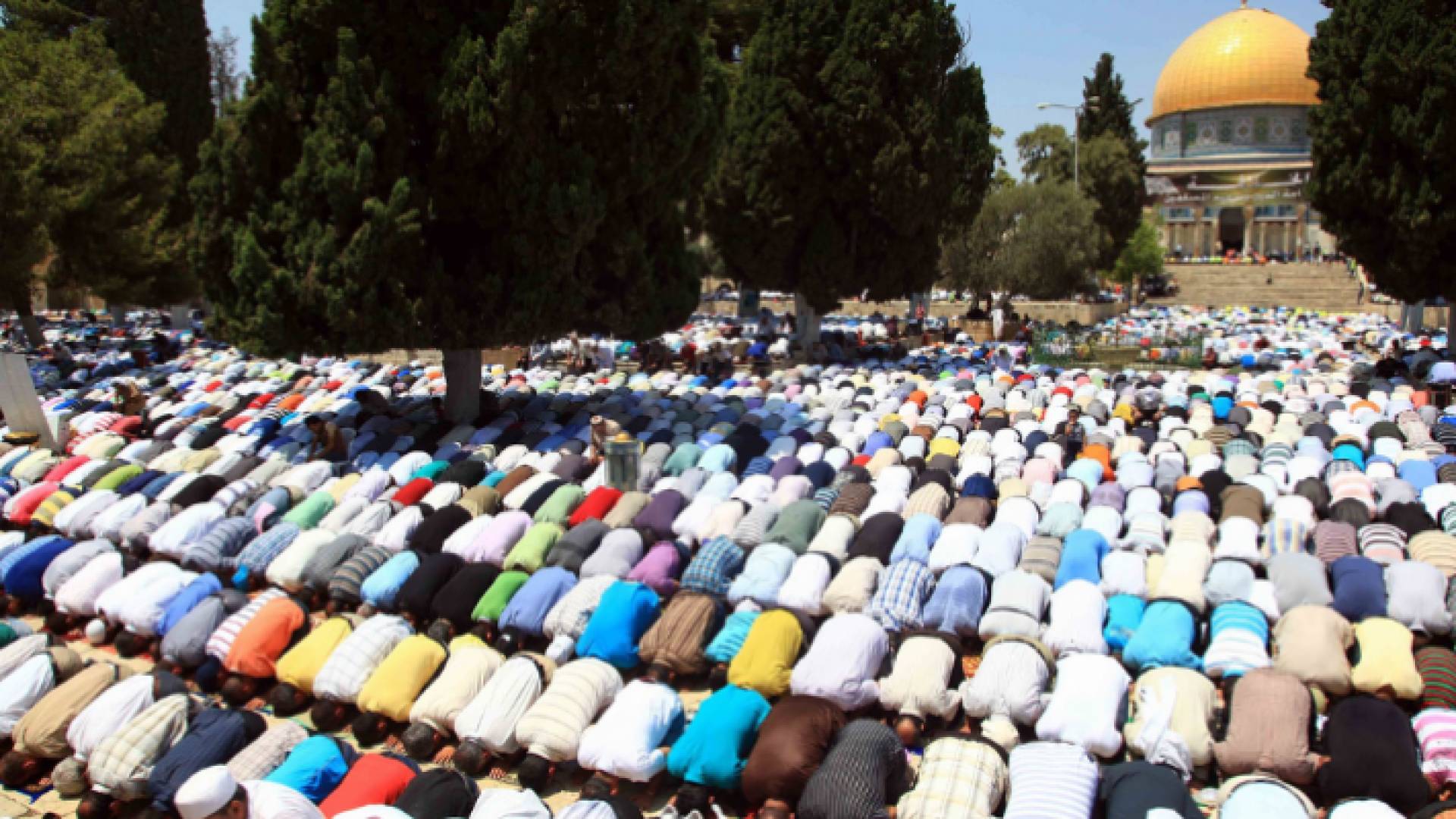 Image 1 from gallery