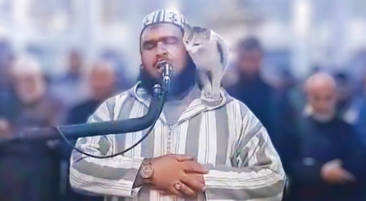 لحظة صعود قطة على كتف إمام المسجد الجزائري  وليد مهساس