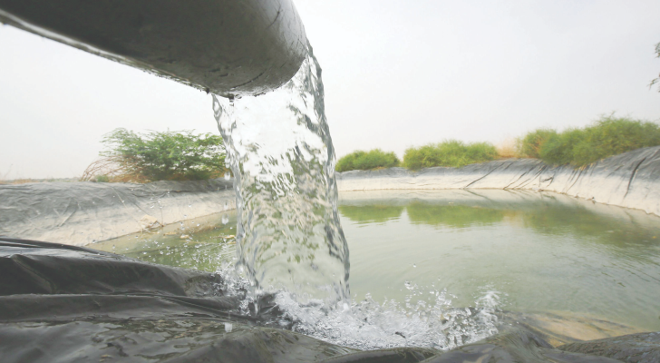 بركة زراعية