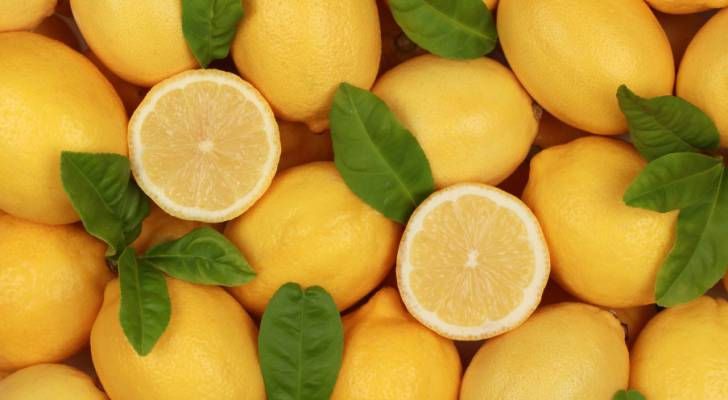 انخفاض أسعار الليمون في أسواق الأردن