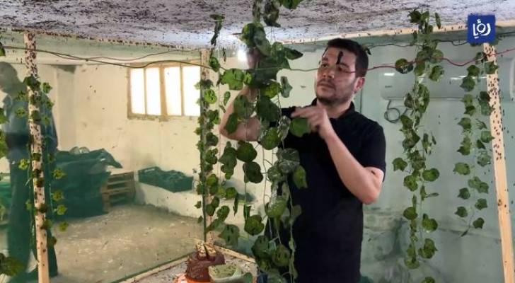 المهندس عمار الرفوع