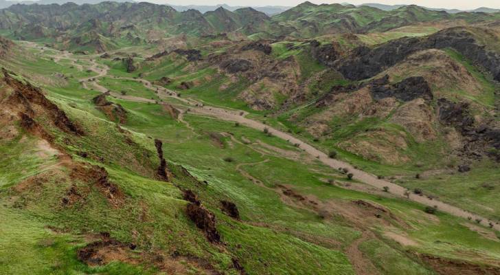 صور الأقمار الاصطناعية ترصد ازدهاراً غير مسبوق للنباتات على جبال السروات في السعودية