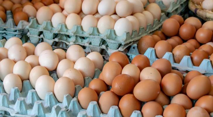 سحب 1.7 مليون بيضة من الأسواق الأمريكية بسبب تفشي السالمونيلا