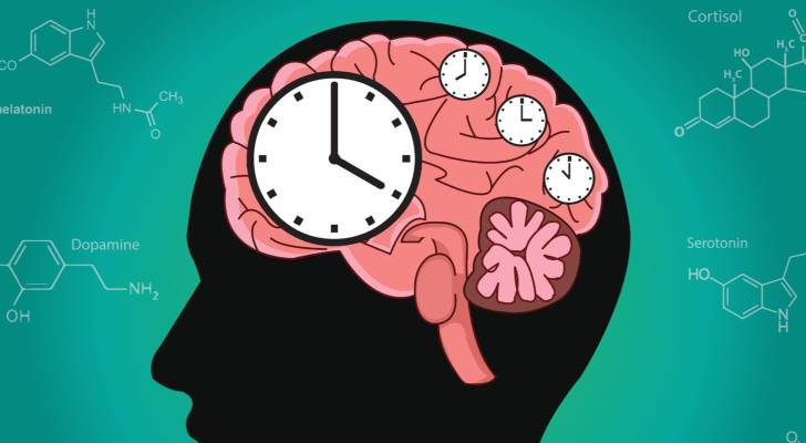 صورة واحدة لدماغك تكشف أسرار شيخوختك.. اختراق علمي جديد يتنبأ بالأمراض والموت المبكر