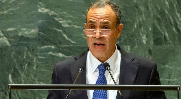 بدر عبدالعاطي وزير الخارجية المصري
