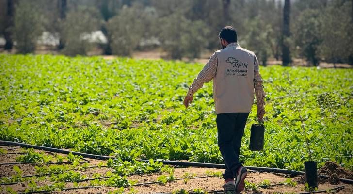 جانب من المرحلة الثانية من مشروع "إحياء مزارع غزة"
