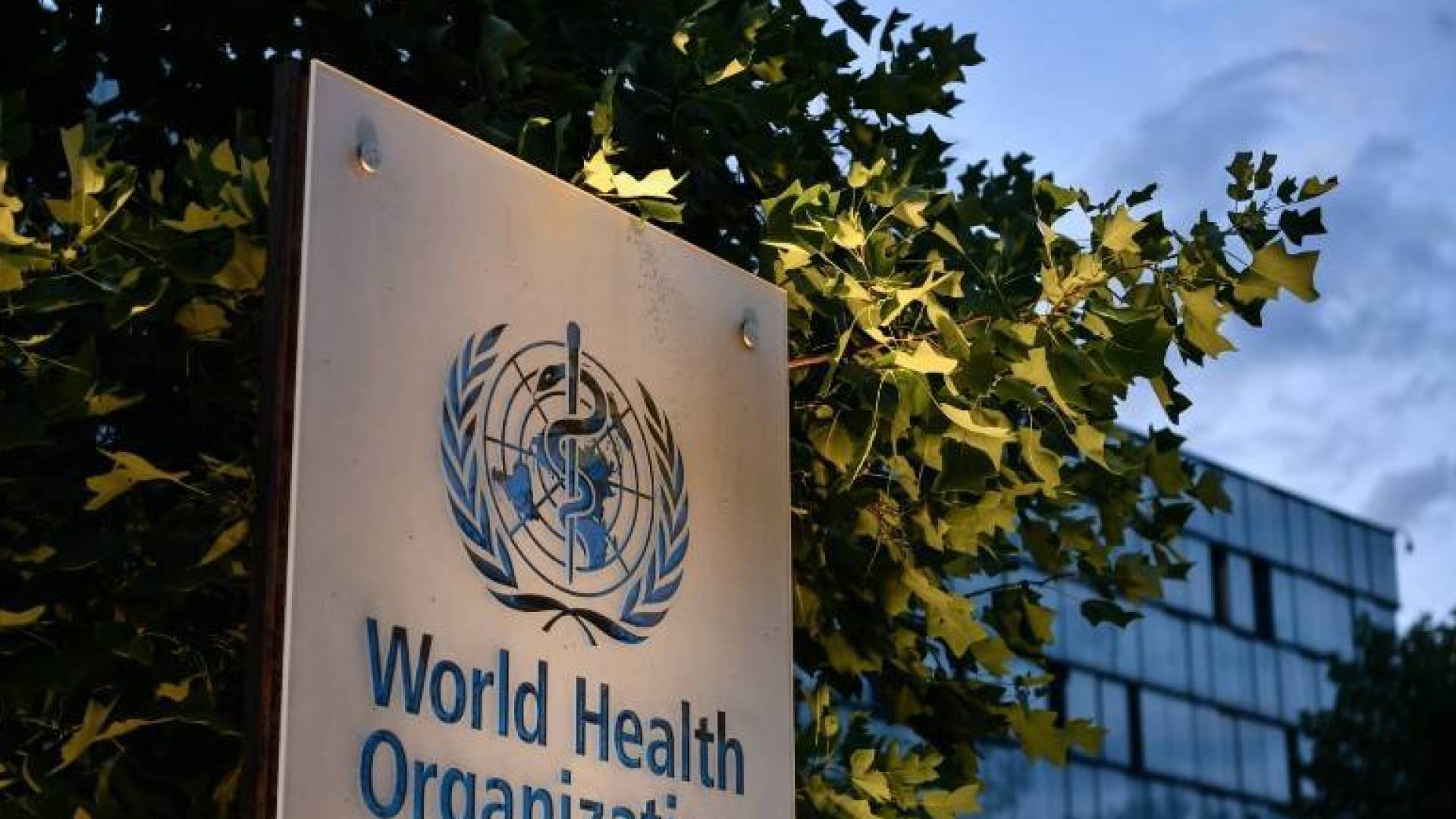 الصحة العالمية تحذر من مرض خطير تسبب في وفاة أكثر من مليون شخص