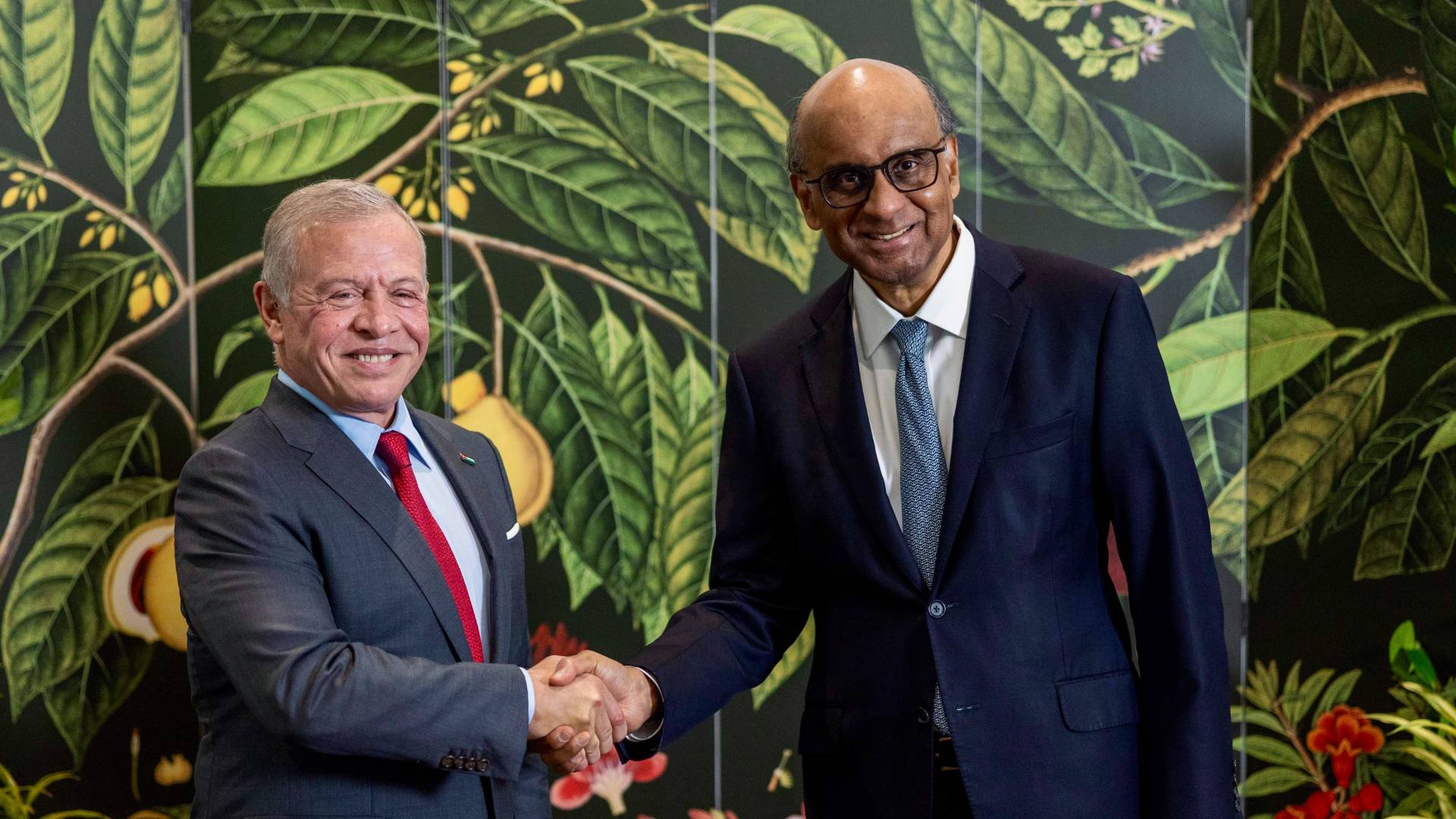 الملك والرئيس السنغافوري يبحثان آليات تعزيز التعاون وأبرز مستجدات الإقليم -فيديو