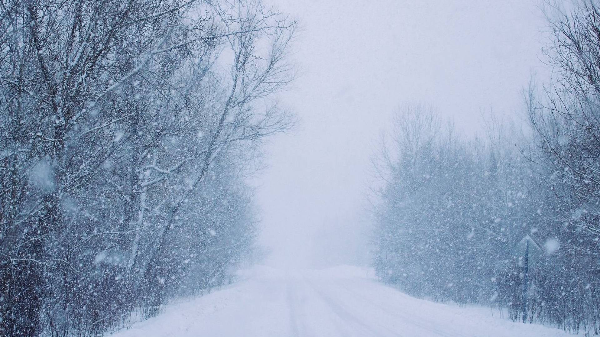 طقس العرب: منخفضات جوية باردة أحدها يحمل الثلوج تصل إلى وسط وغرب المتوسط