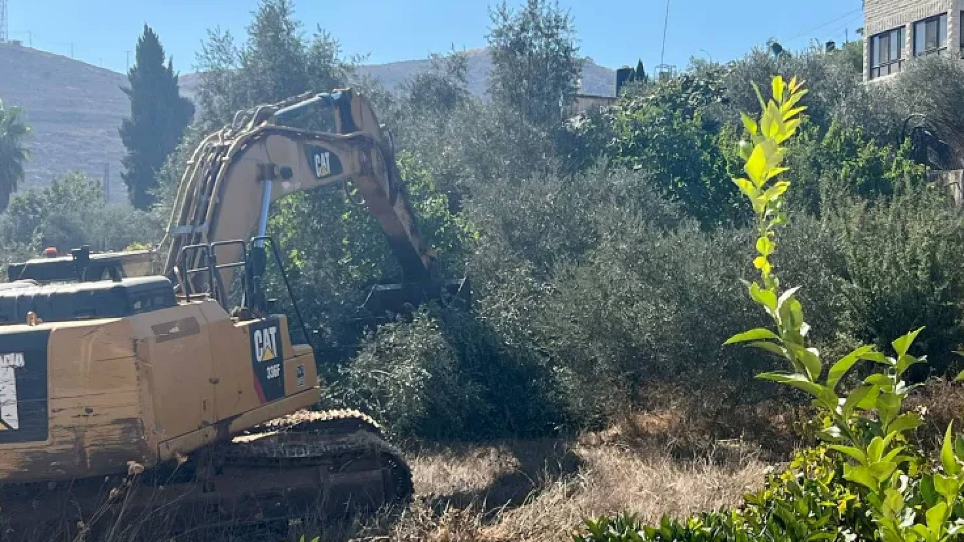 جرافات إسرائيلية تجرف أراضي وأشجارا في رام الله وسط الضفة الغربية 