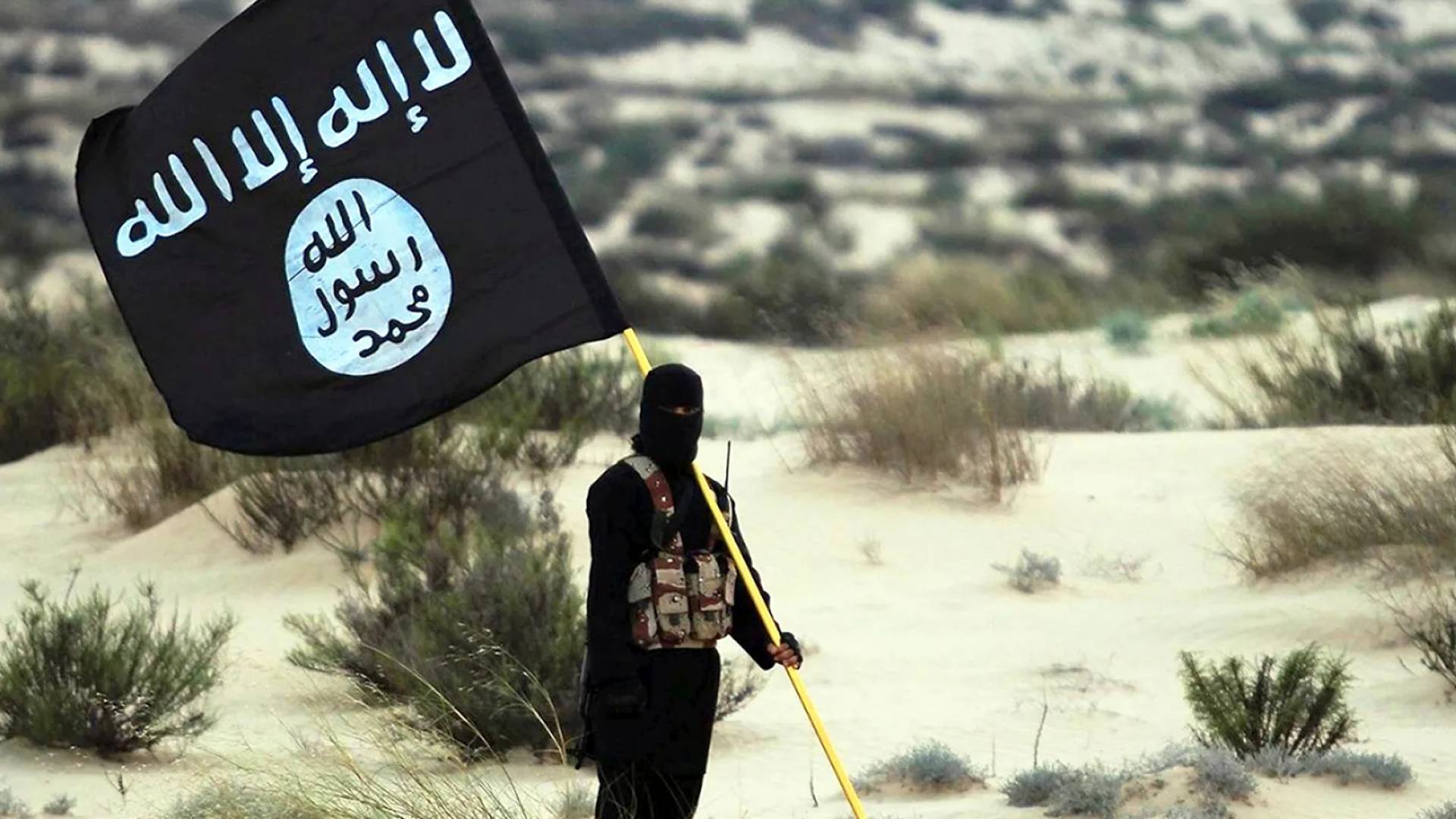 "الداخلية السورية": قتل منفذ هجوم تدمر "التابع لتنظيم داعش" بعد الاشتباك معه