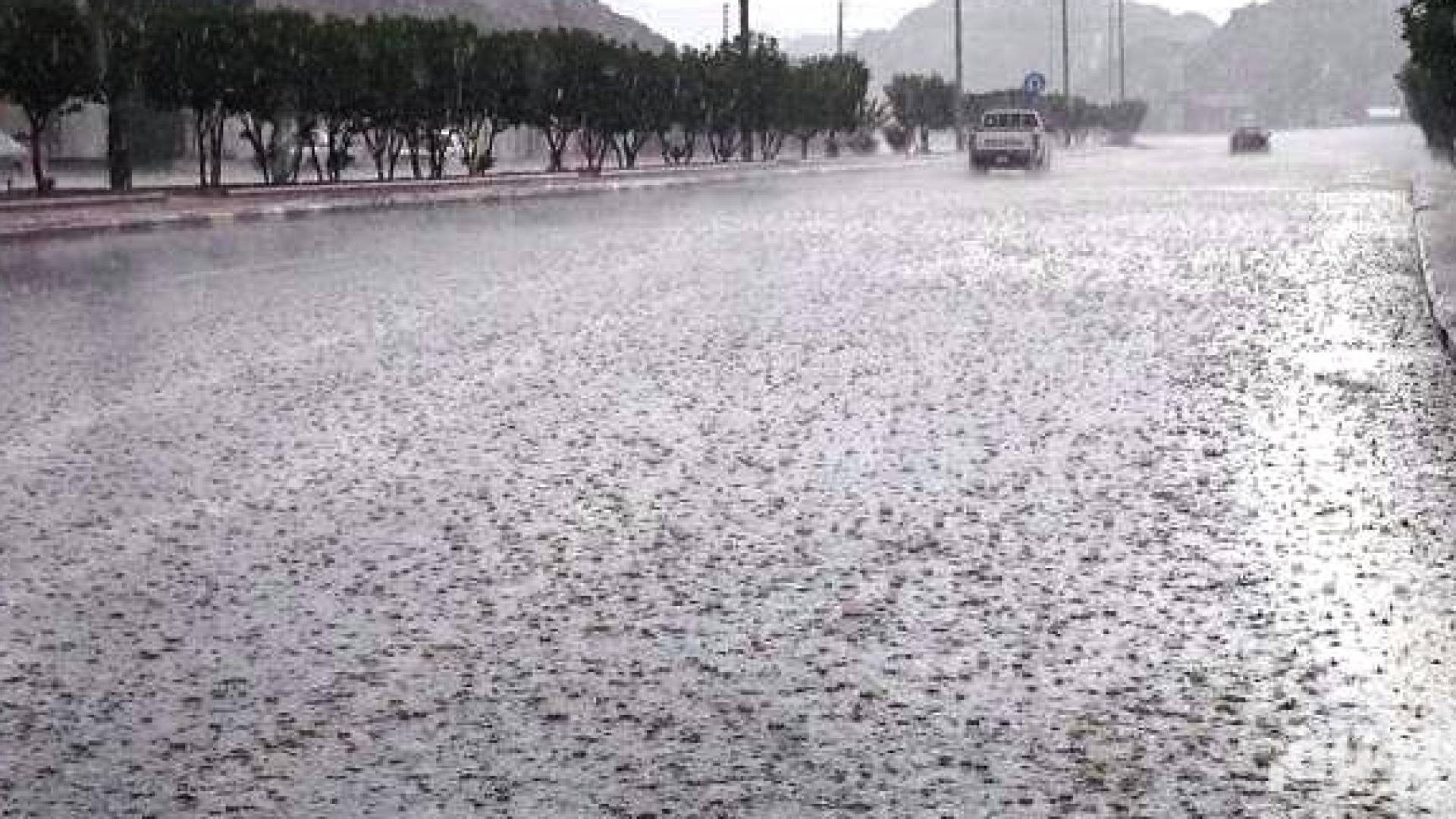 "الأمن العام" يحذر من "الكتلة السيبيرية".. ويصدر 7 توجيهات للسلامة العامة