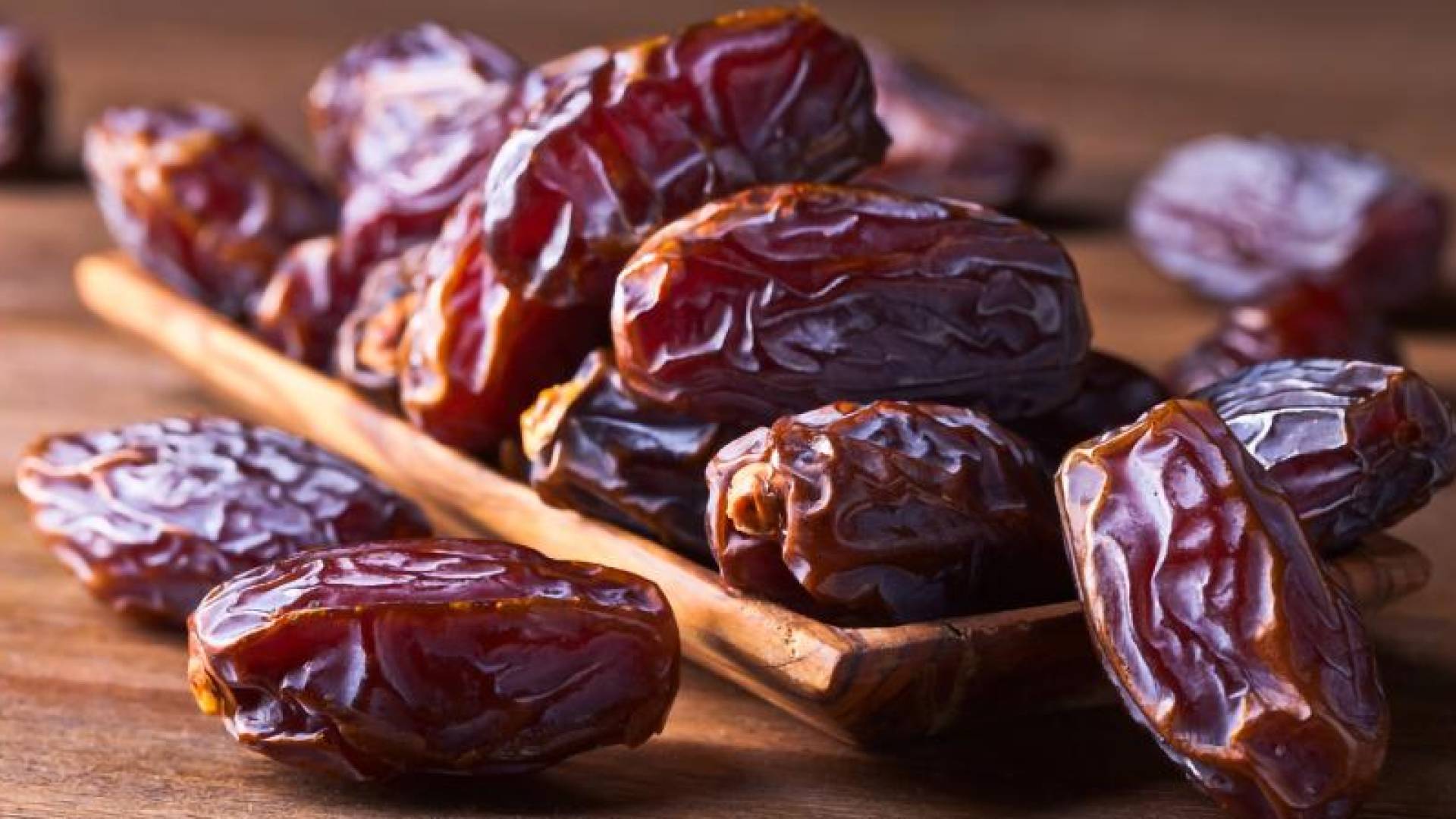 مهرجان التمور الأردنية في عمان.. نموذج وطني للاستدامة والابتكار الزراعي