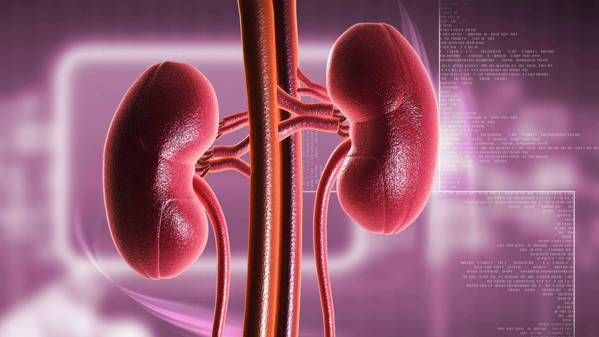 أداة ذكاء اصطناعي جديدة تسرع الكشف عن أورام الكلى وتنقذ الأرواح 