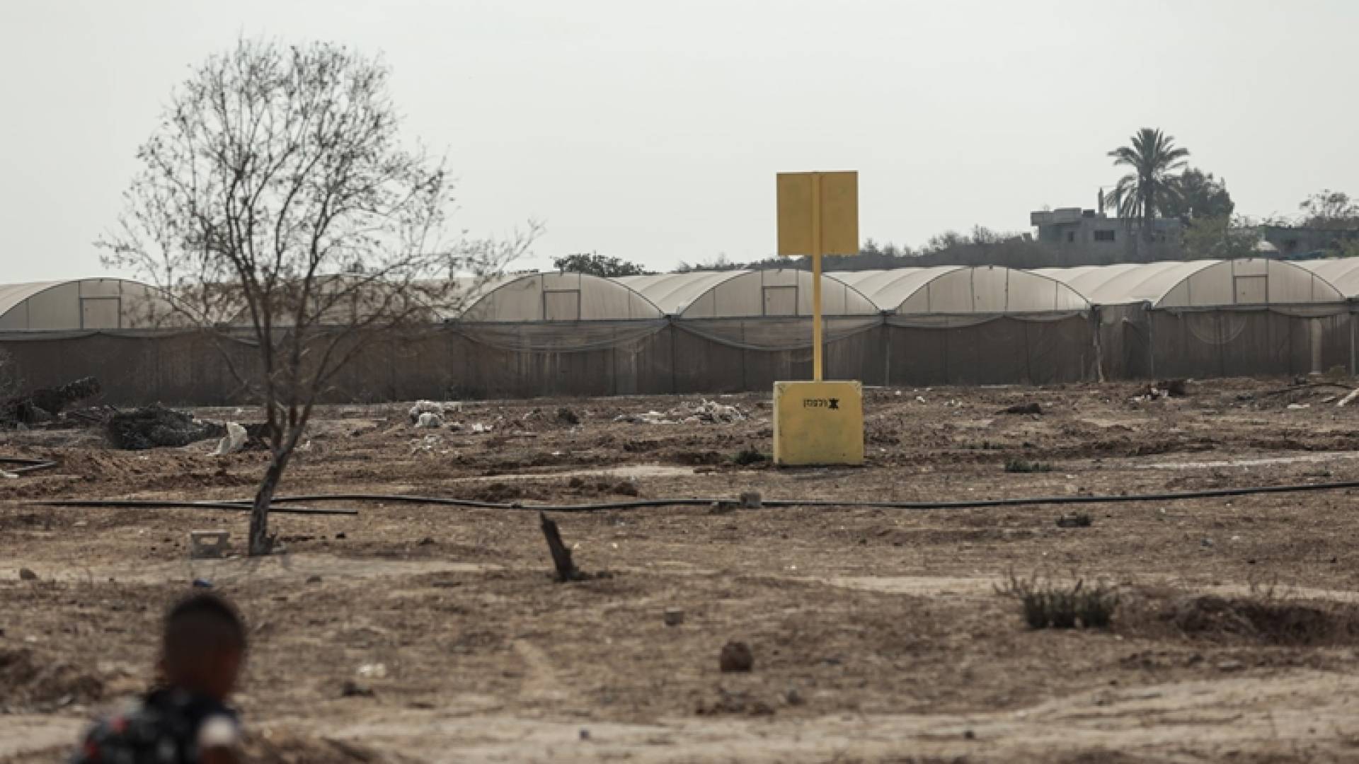 "الْخَطُّ الْأَصْفَر".. زَحْفٌ خَرَسَانِيٌّ يَبْتَلِعُ أَحْيَاءَ مدينة غَزَّةَ بِصَمْت 