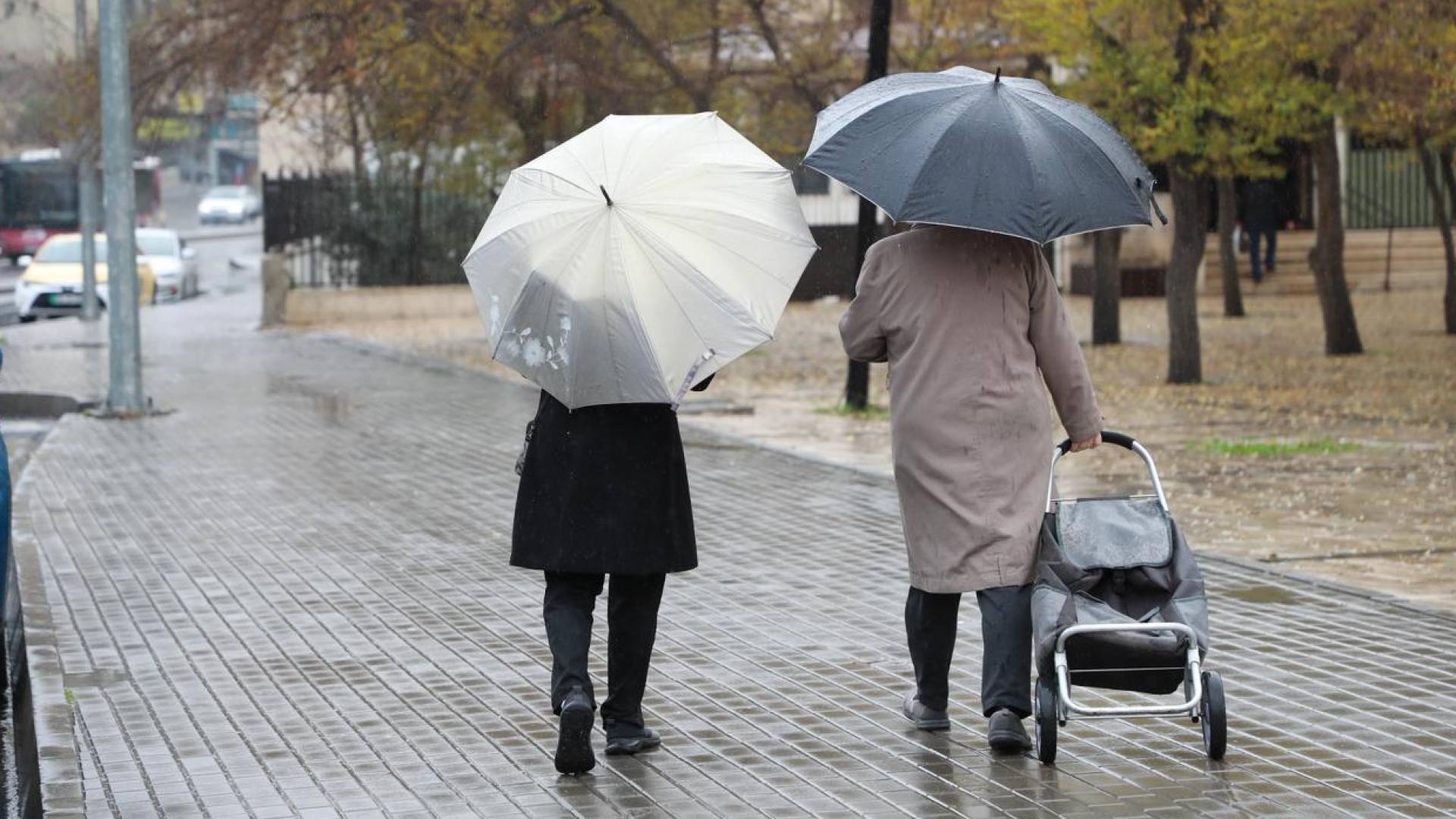 منخفض جوي جديد من الدرجة الثالثة يؤثر على الأردن.. أمطار ورياح تصل إلى 100 كم/ساعَة #عاجل 