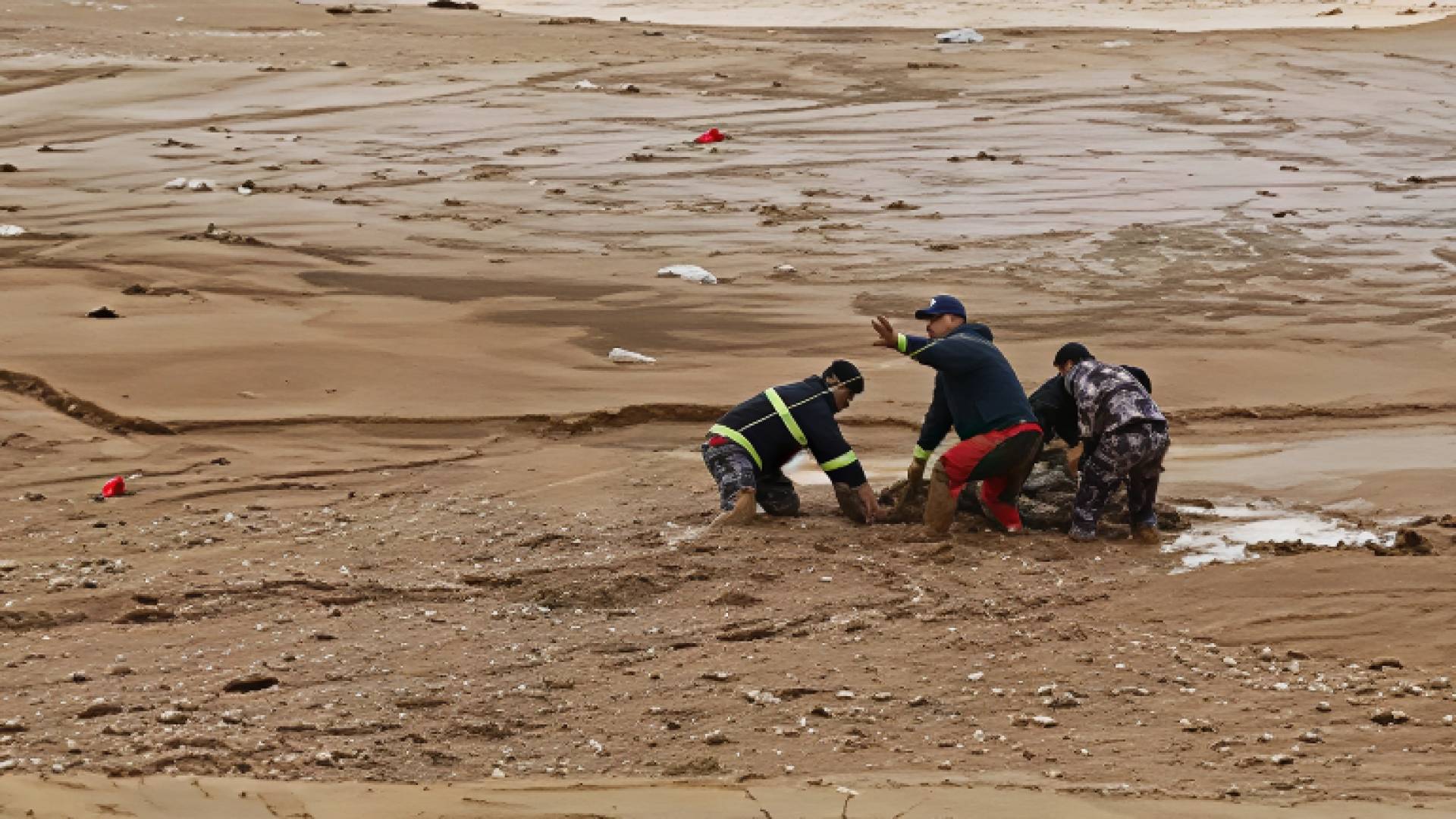 "التَّنْمِيَةُ الْاجْتِمَاعِيَّة" تُغِيثُ 513 أُسْرَة.. وَتُجْلِي 102 إِلَى أَمَاكِنَ آمِنَة 