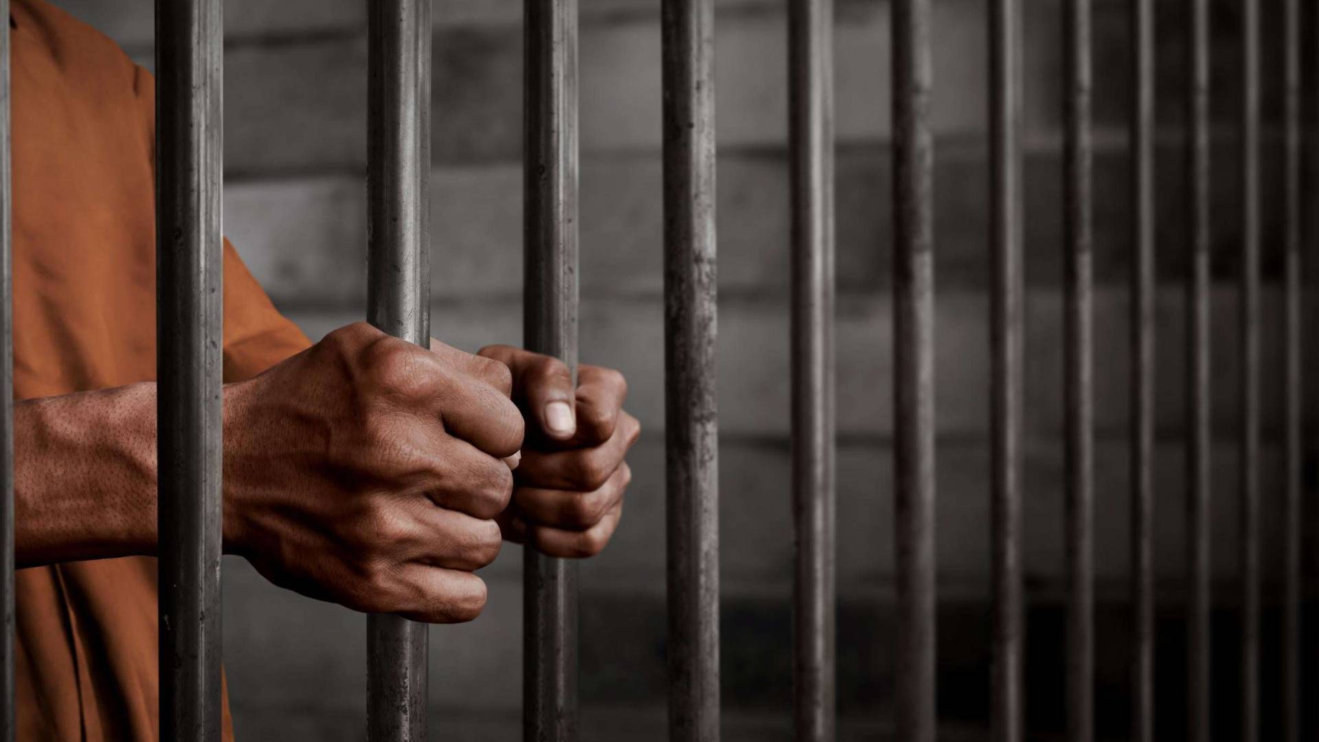 "وهم الثراء السريع".. اعترافات صادمة لعصابة دولية جمعت 30 مليون جنيه بزعم "الاستثمار في الذهب"