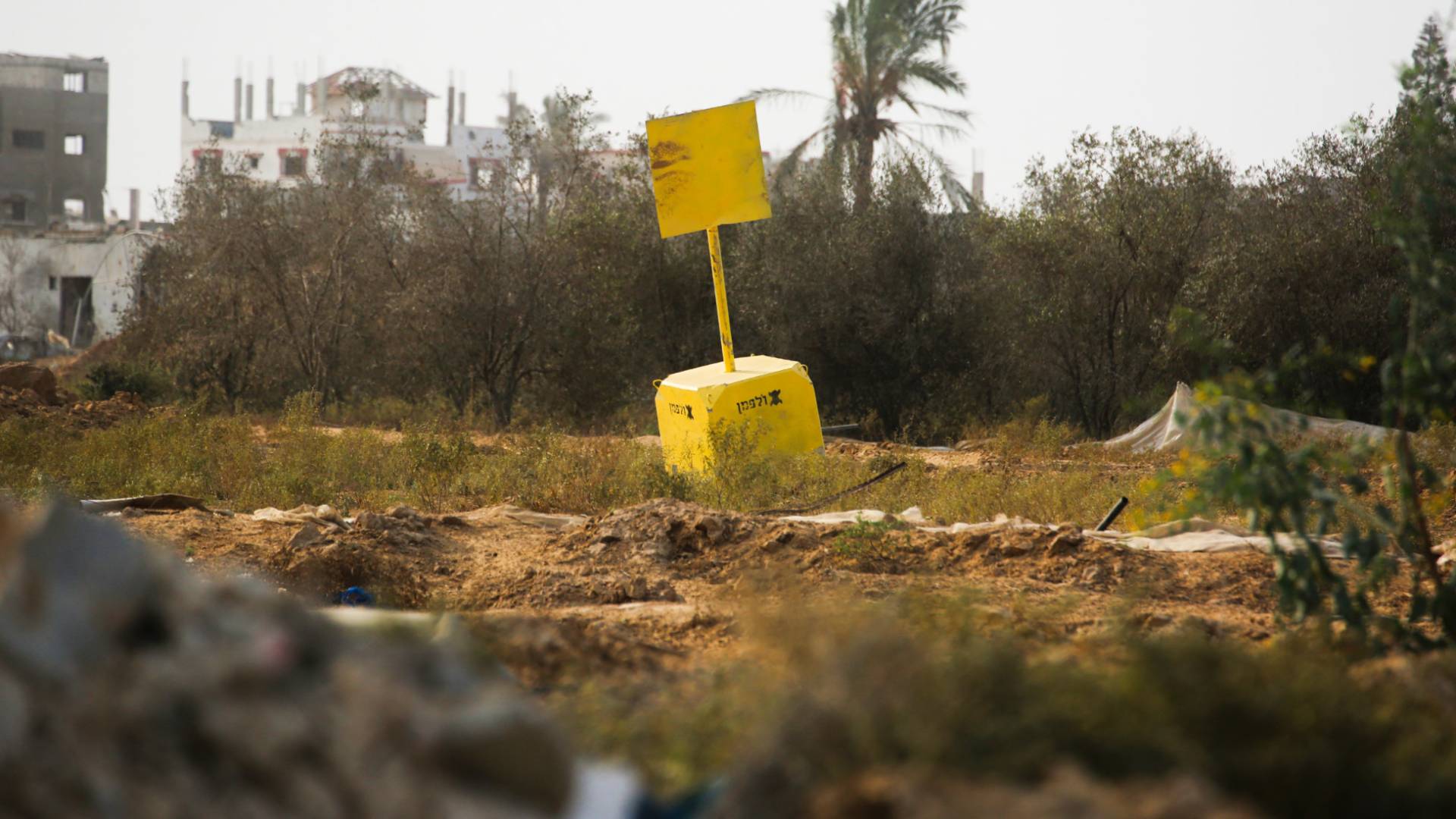 جيش الاحتلال: يعلن اغتيال فلسطيني اجتاز "الخط الأصفر" جنوب القطاع وإصابة آخرين شمال غزة