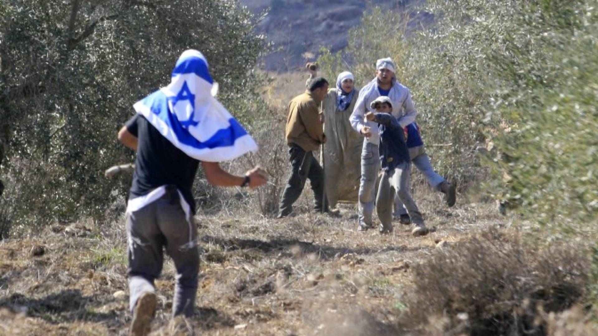 مستوطنون يقطعون طرقا زراعية ويهددون موسم الزراعة شرق نابلس