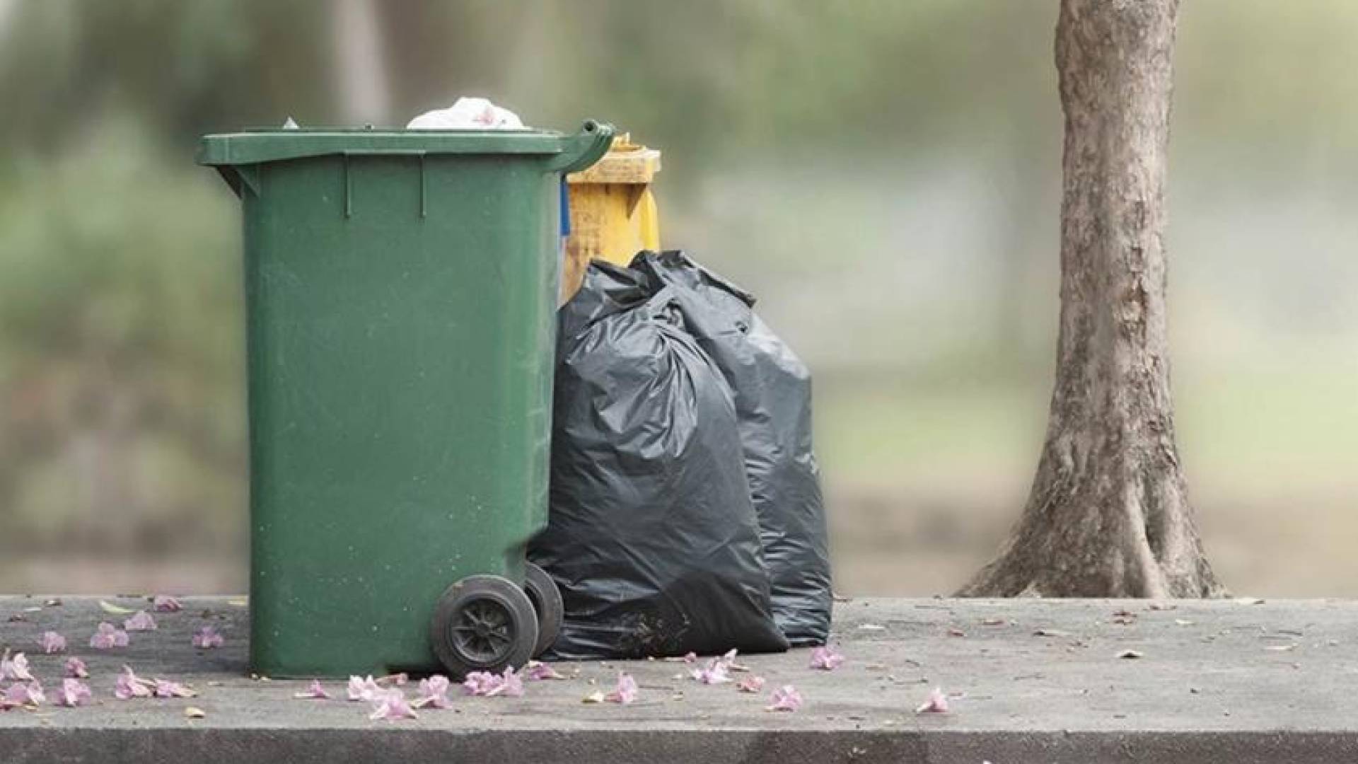 "الأشغال" تطلق خطة توعوية وتنفيذية شاملة للحد من الإلقاء العشوائي للنفايات 