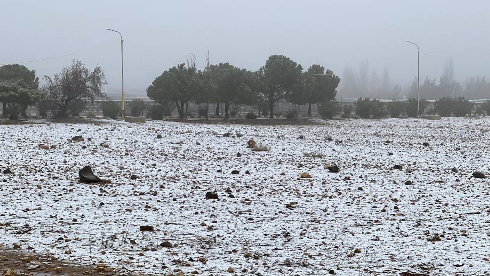 Image 1 from gallery