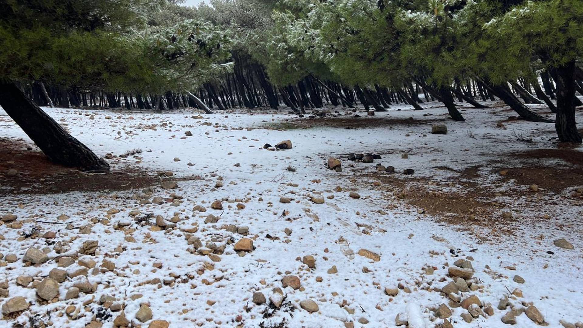 طقس العرب: المنخفض الجوي يتعمق وثلوج مع ساعات المساء فوق قمم الجنوب ورياح عاتية تتجاوز 110 كم/س