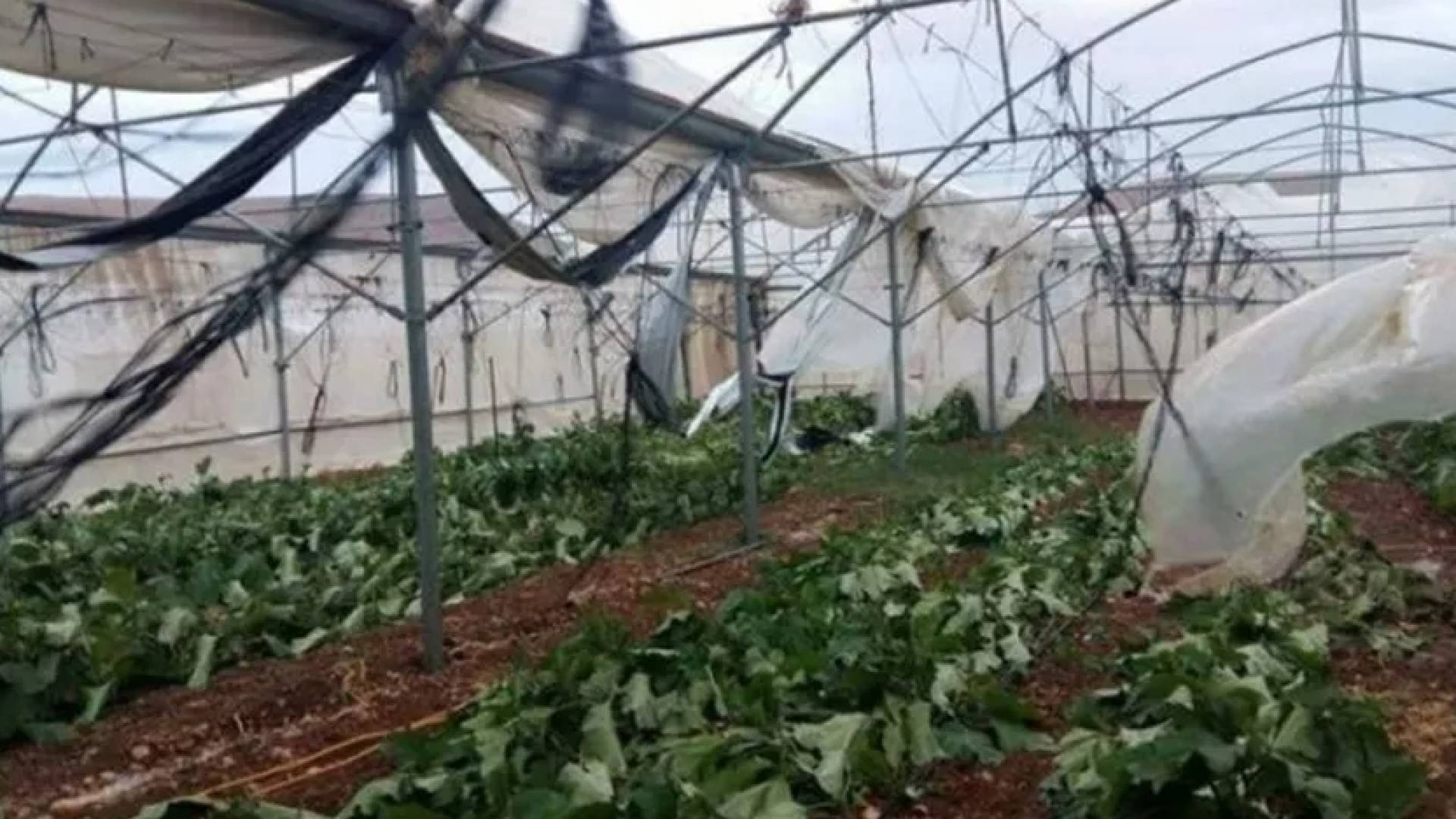 "الزراعة": نصائح وإرشادات للمزارعين مع بدء الموسم المطري