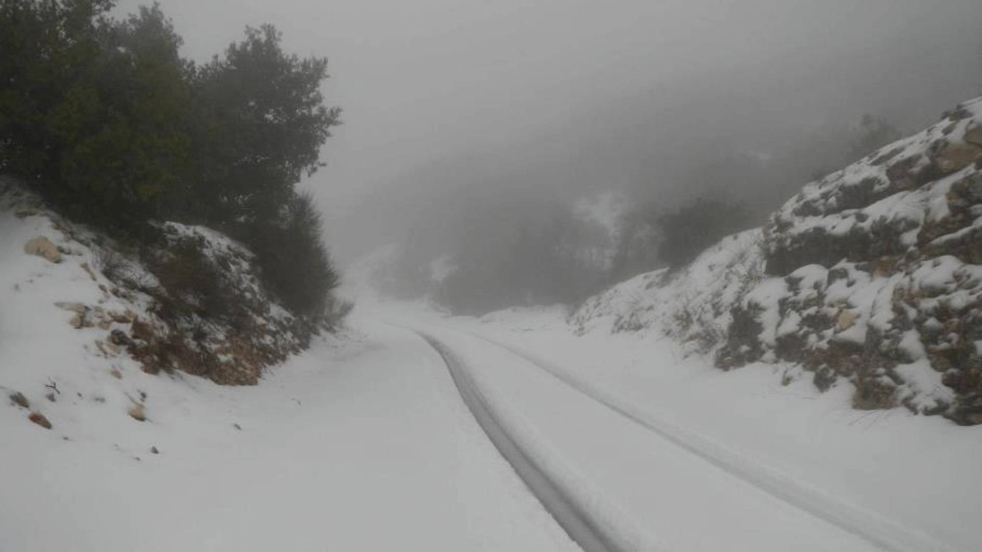 تحذيرات مهمة من "الأرصاد الأردنية": الضباب والانجماد ليلة الأربعاء