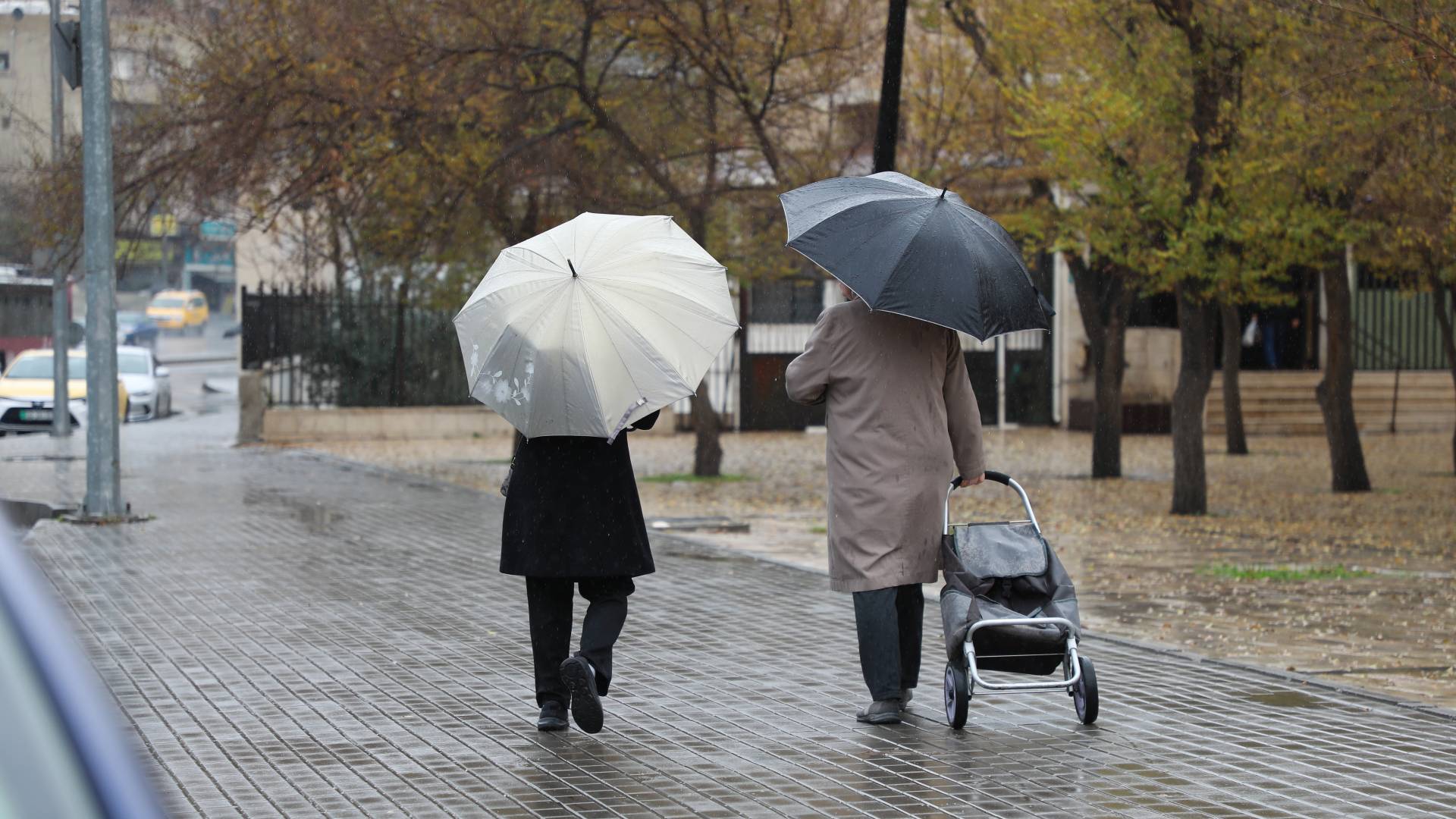 طقس بداية الأسبوع استقرار بارد.. ومنخفض جوي يحمل الأمطار الأحد