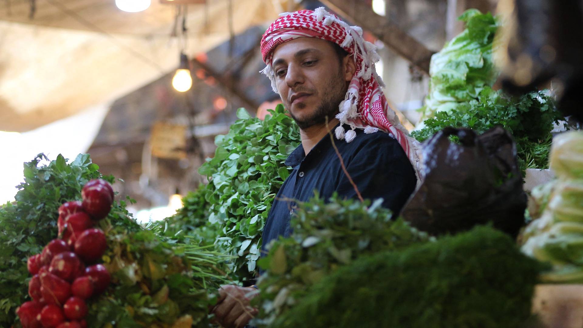 سَلَّةُ الغِذَاءِ الأُرْدُنِيَّةُ تَنْتَعِشُ: 2595 طَنّاً مِنَ الخُضَارِ تَتَدَفَّقُ إِلَى "مَرْكَزِيِّ عَمَّانَ" 