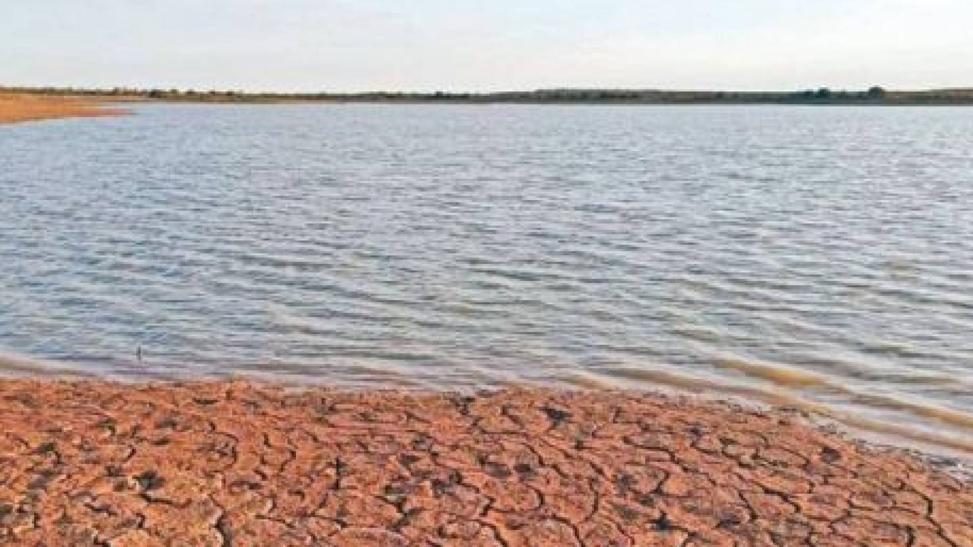 زراعة العقبة: 30 حفيرة ترابية لتعزيز الأمن المائي في وادي عربة والقويرة