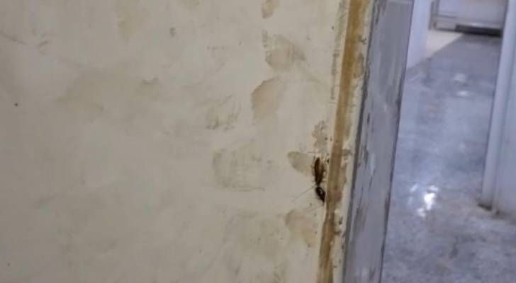 الغذاء والدواء تغلق مخبزا في أحد المولات لوجود حشرات
