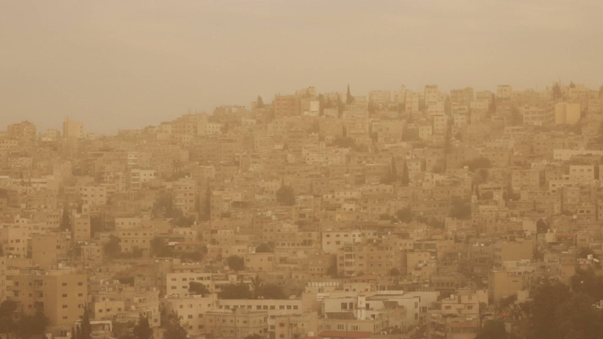 طقس العرب: استمرار الأجواء المغبرة السبت وارتفاع درجات الحرارة يومي الأحد والإثنين