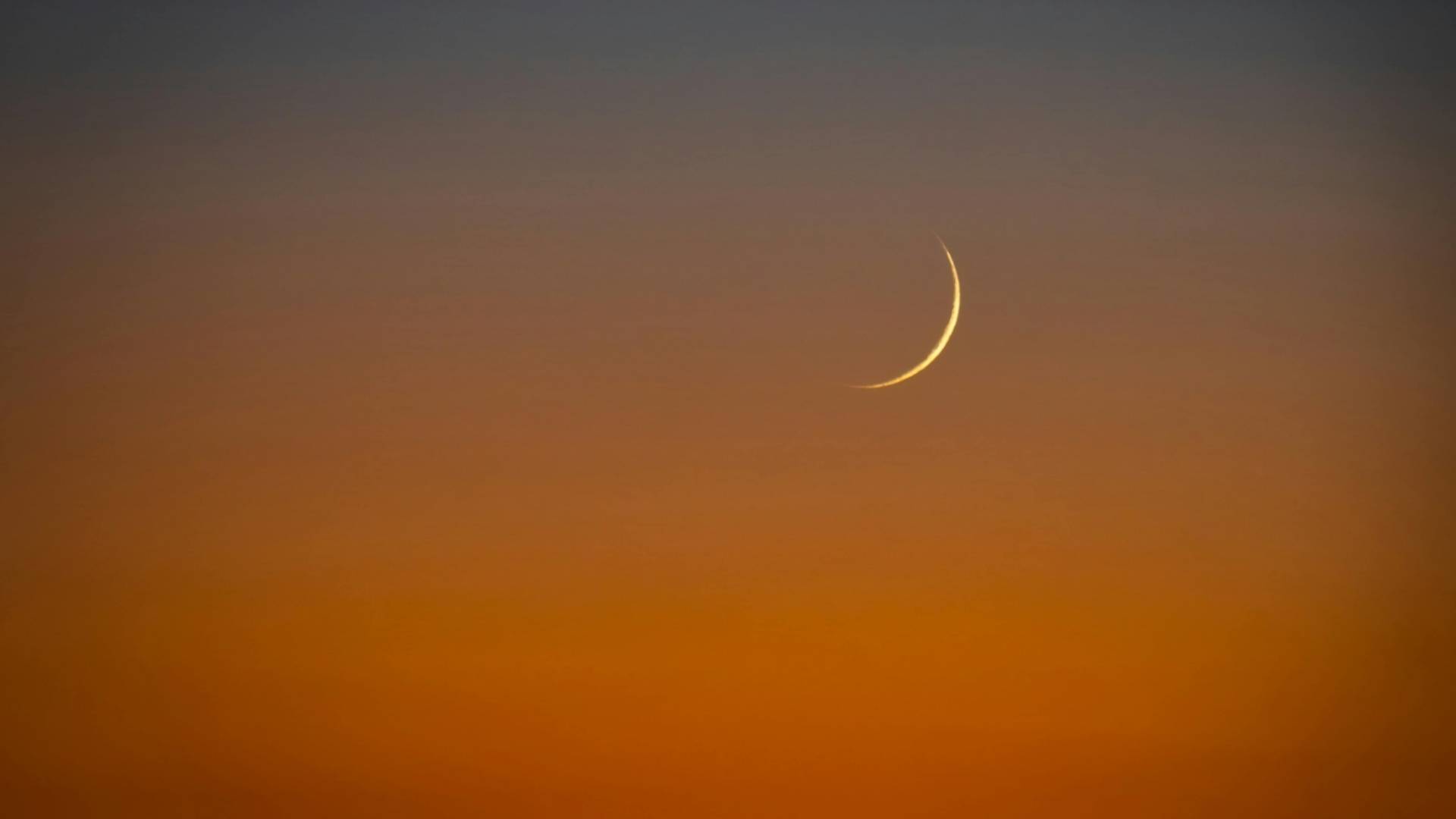 Image 1 from gallery