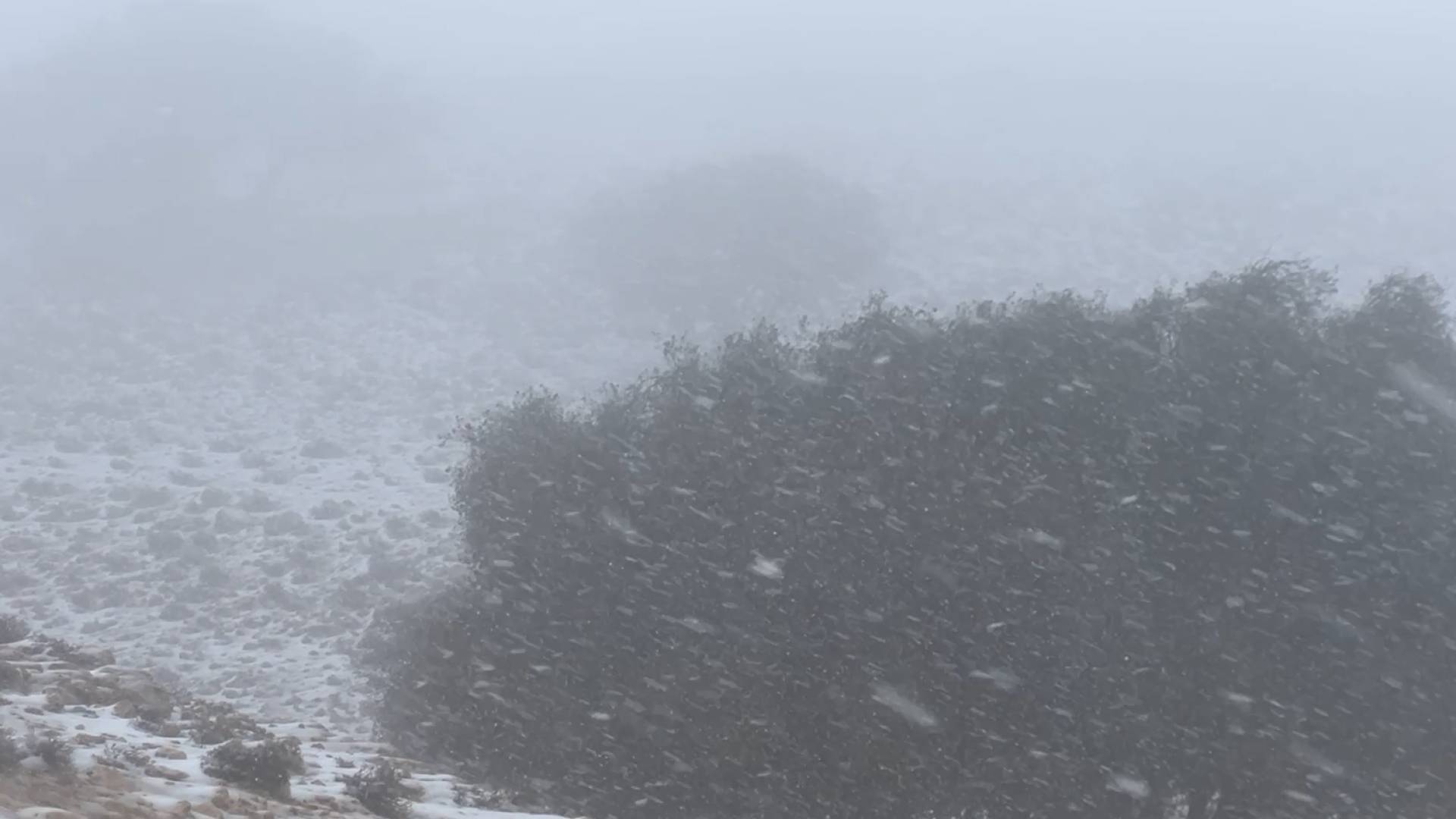 بدء تراكم الثلوج في الرشادية والشوبك.. والأمن العام يجدد تحذيراته من "المجازفة" على الطرق