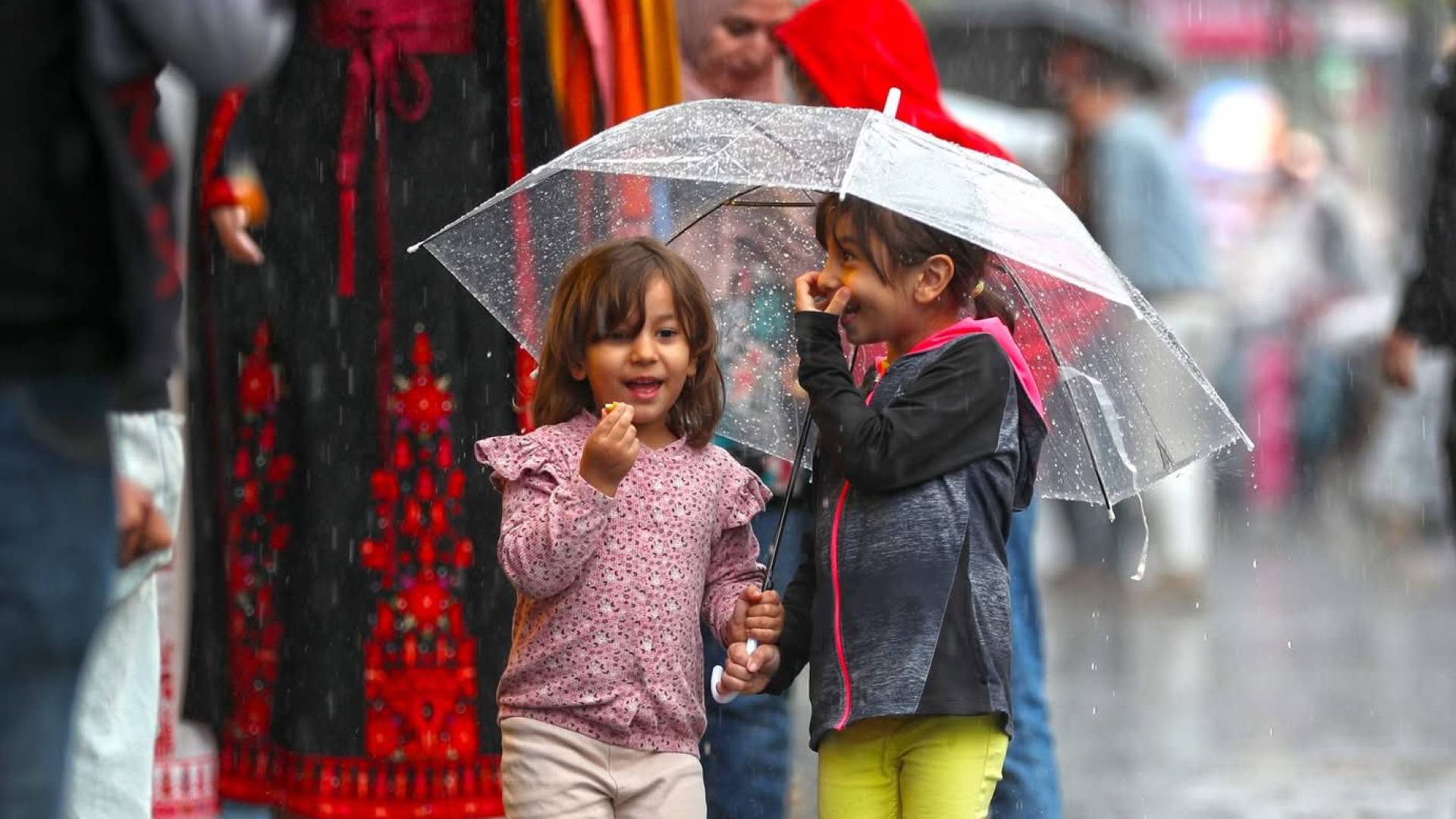 "بين الأمطار والغبار".. تفاصيل الحالة الجوية المتوقعة يوم الأحد