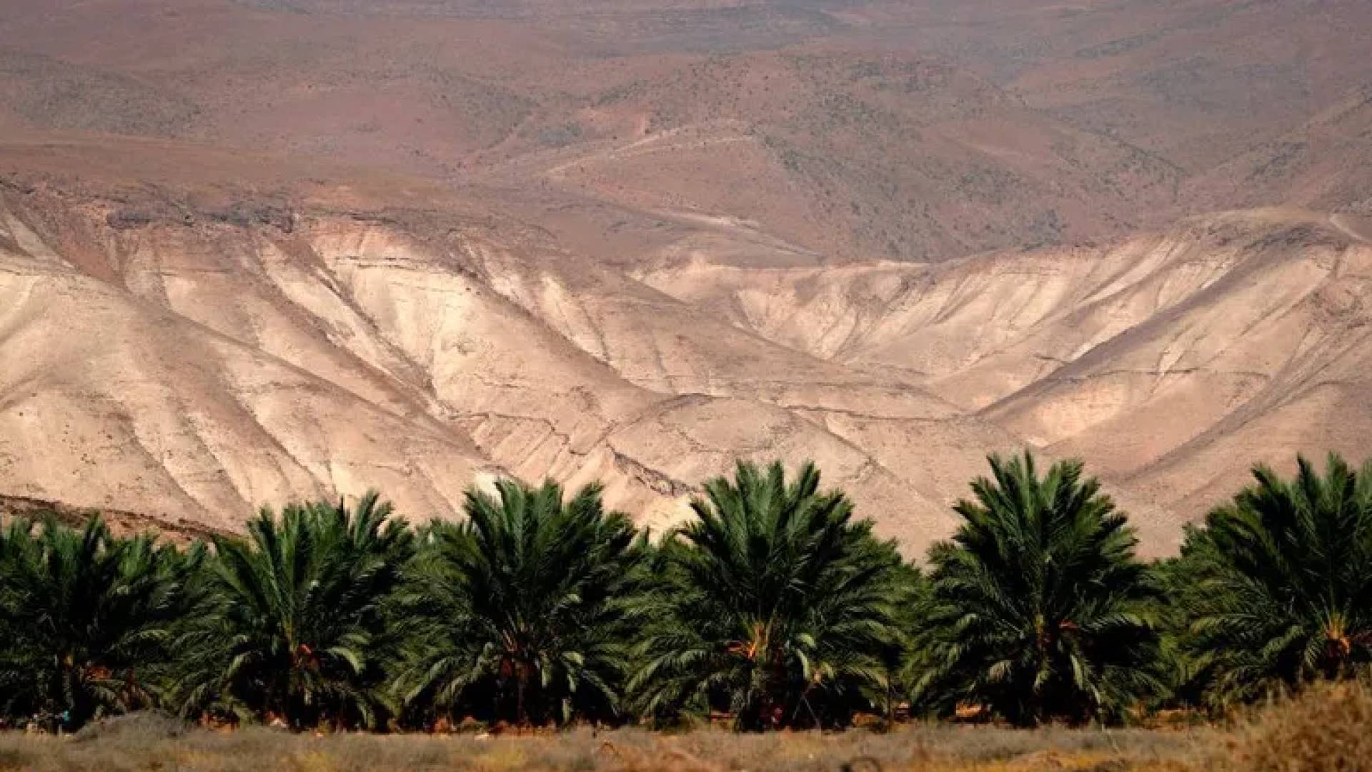 الأردن على موعد مع "موجة" حارة استثنائية: الحرارة تلامس الـ 40 في الأغوار