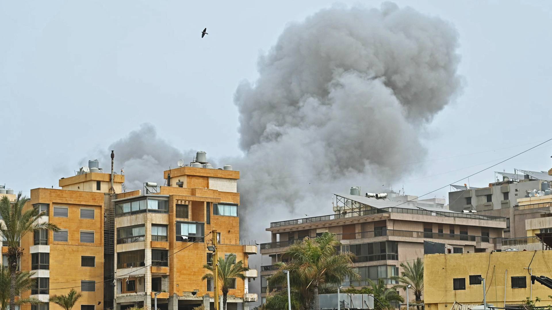 17 شهيدا و3 جرحى في غارات الاحتلال صباحا على جنوب لبنان 