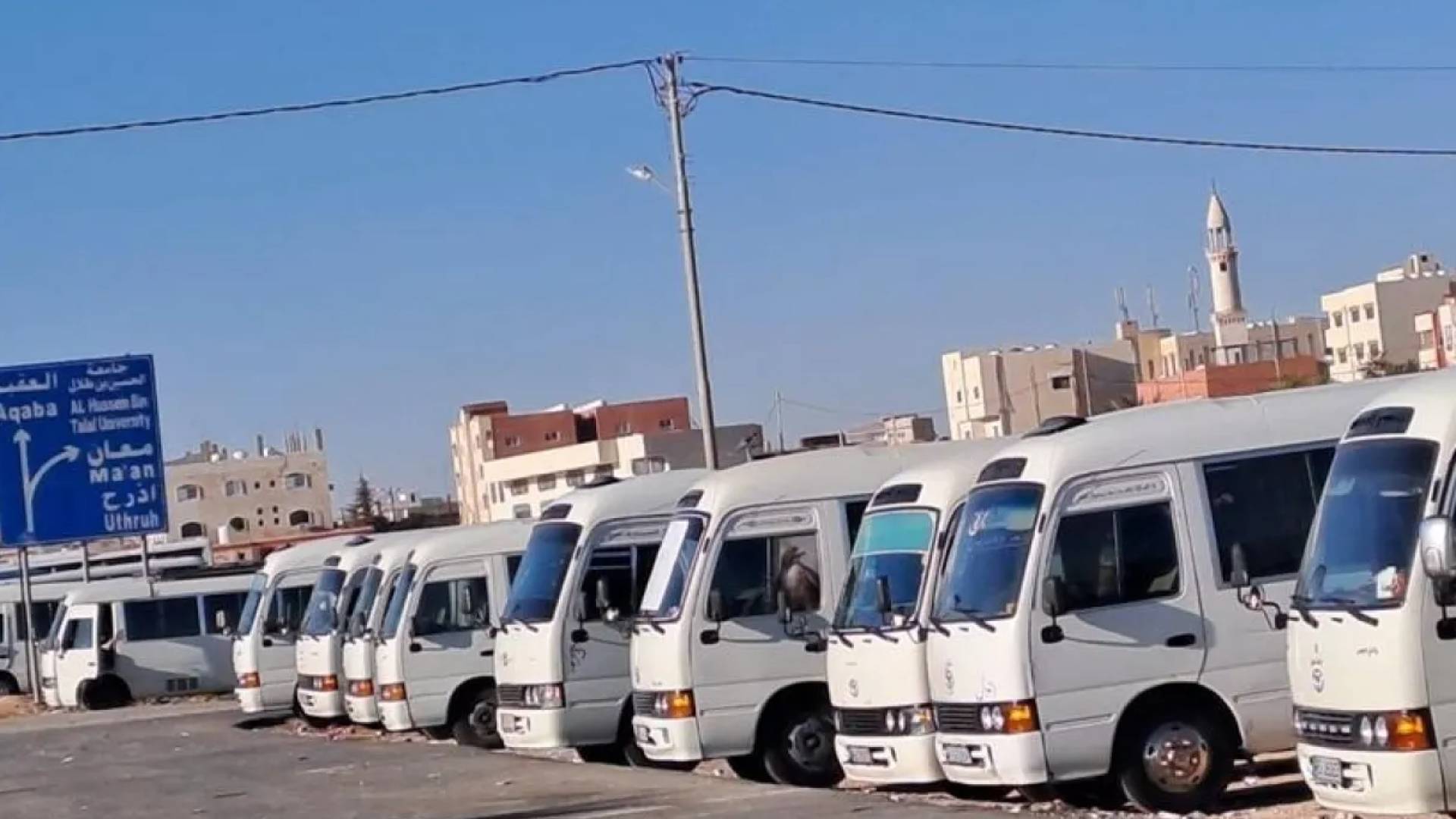 نقلة نوعية في النقل العام بين المحافظات.. 11 مسارا جديدا وتشغيل 180 حافلة