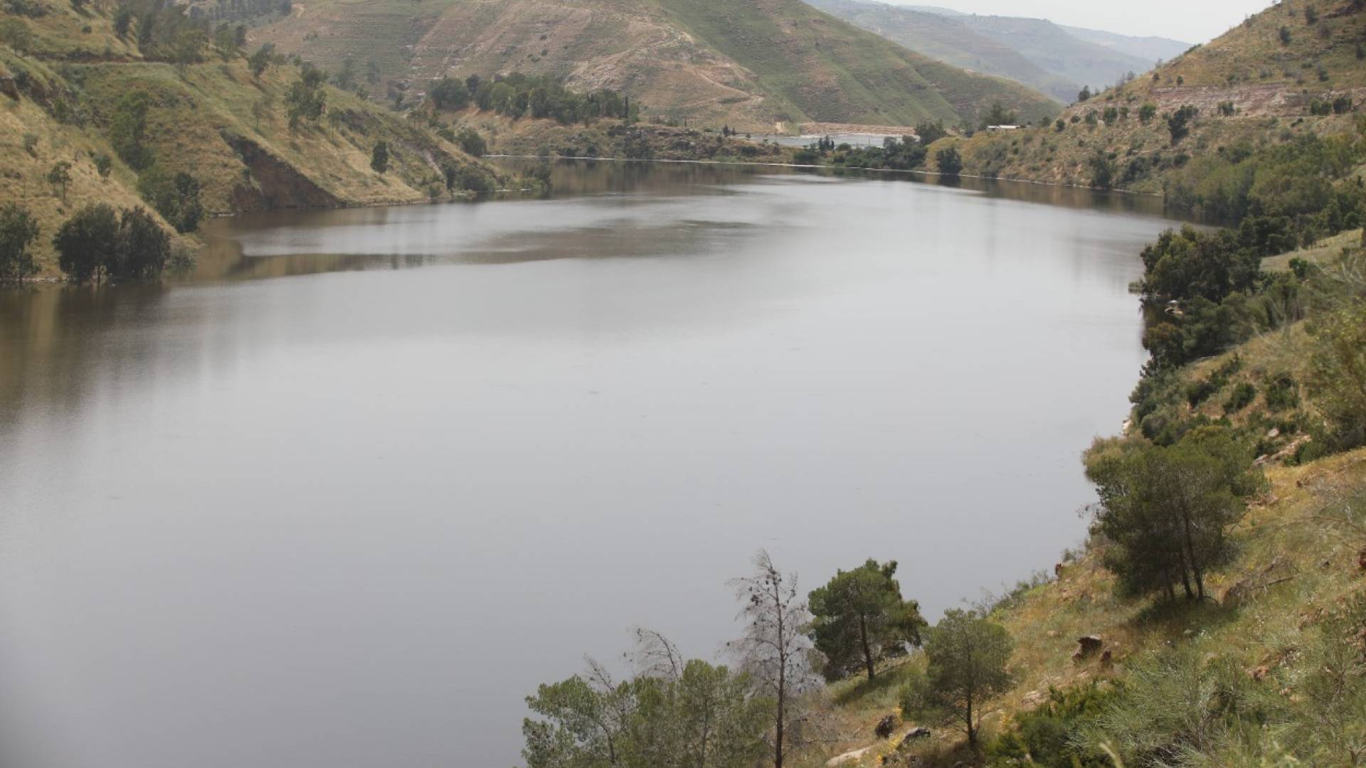 المياه والري تبدأ تنفيذ خارطة طريق تكنولوجيا المعلومات في قطاع المياه